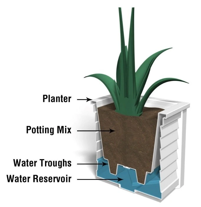 Cutaway diagram of a self-watering commercial planter showing potting mix, water troughs, and water reservoir